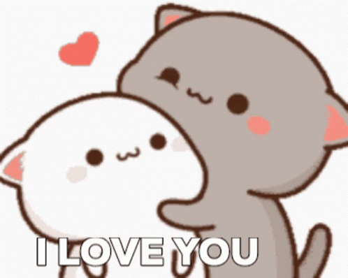 Cat Love You